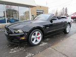 Ford Mustang 5.0 L