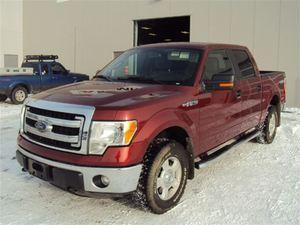 Ford F-150 5.0L V8