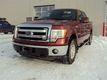 Ford F-150 5.0L V8