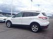 Ford Escape I-4 cyl