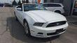 Ford Mustang V-6 cyl