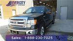 Ford F-150 8