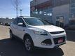 Ford Escape 2