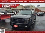 Ford F-150 5.0 litre