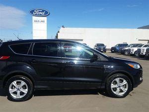 Ford Escape 2.0L Inline4 Turbo