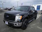 Ford F-150 5.0L V8