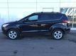 Ford Escape 2