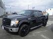 Ford F-150 5.0L V8
