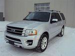 Ford Expedition 3.5L V6