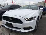 Ford Mustang 5L 8 Cyl