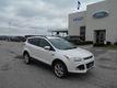 Ford Escape I-4 cyl