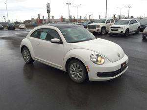 Volkswagen Beetle I-5 cyl