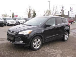 Ford Escape 1.6L 4 cyls