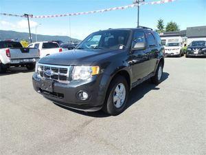 Ford Escape V6 Cylinder Engine