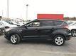 Ford Escape I-4 cyl