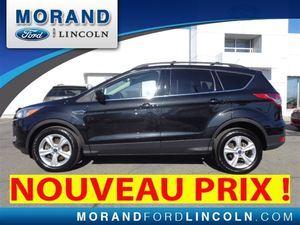 Ford Escape 4cyl ecoboost