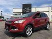 Ford Escape 2