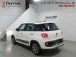 Fiat 500L I-4 cyl