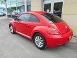 Volkswagen Beetle 2.5 L