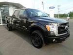 Ford F-150 3.5 Liters