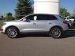 Lincoln MKX INGOT SILVER