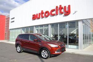 Ford Escape I-4 cyl