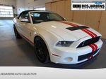 Ford Mustang 5.4 Litres